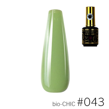 Biochic Gel Colour #043